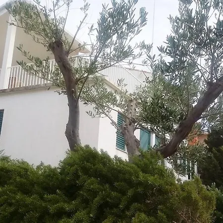 Vacation Palma * Rukavac (Vis)